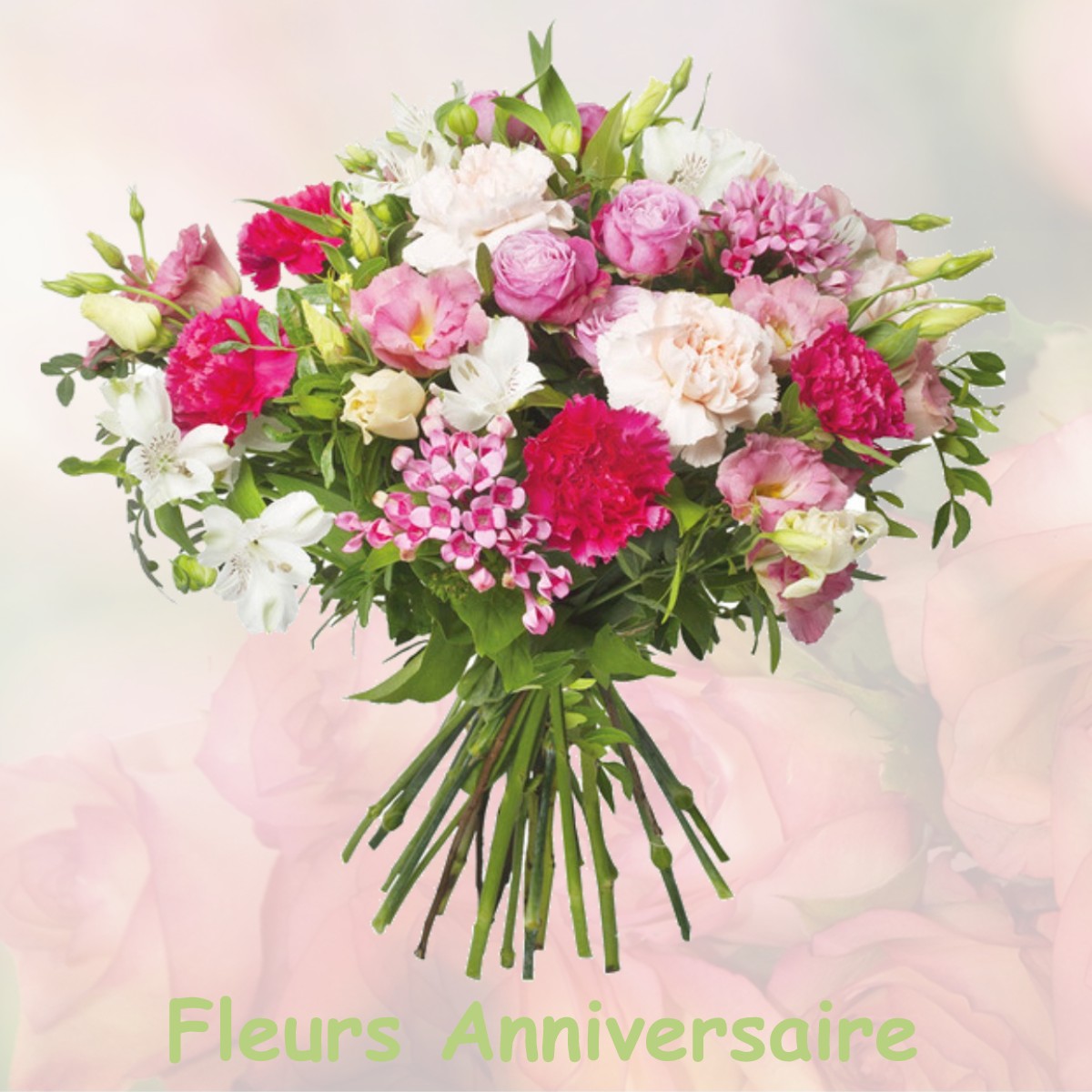 fleurs anniversaire LE-BOURGET